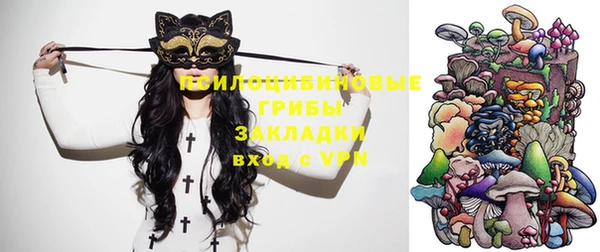 apvp Михайлов