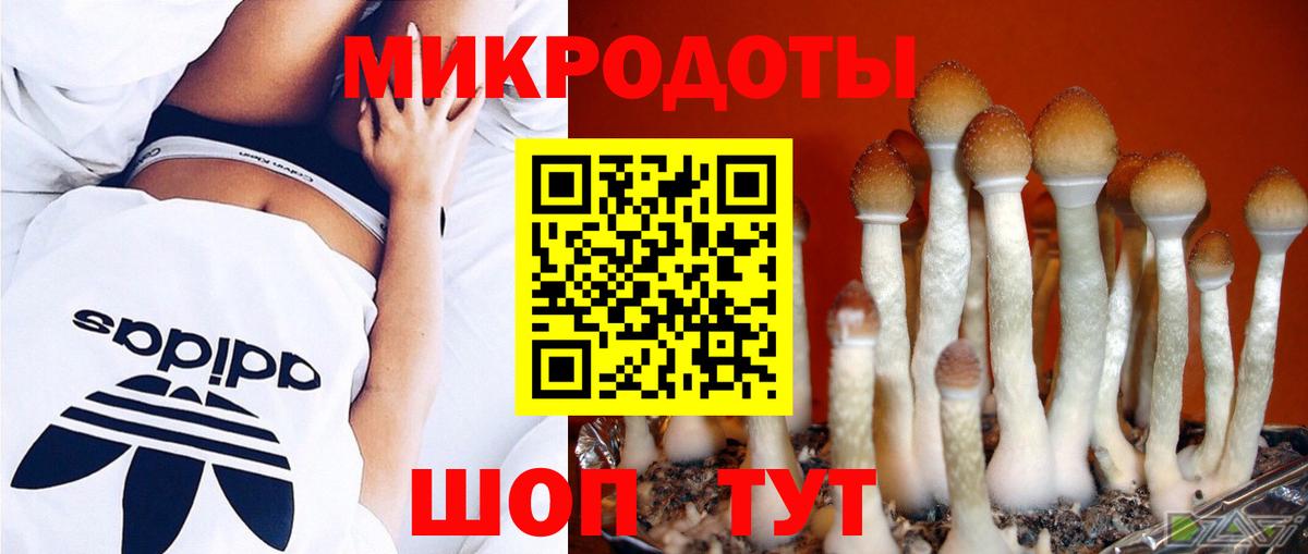Псилоцибиновые грибы GOLDEN TEACHER  Вход с VPN  Карабулак 