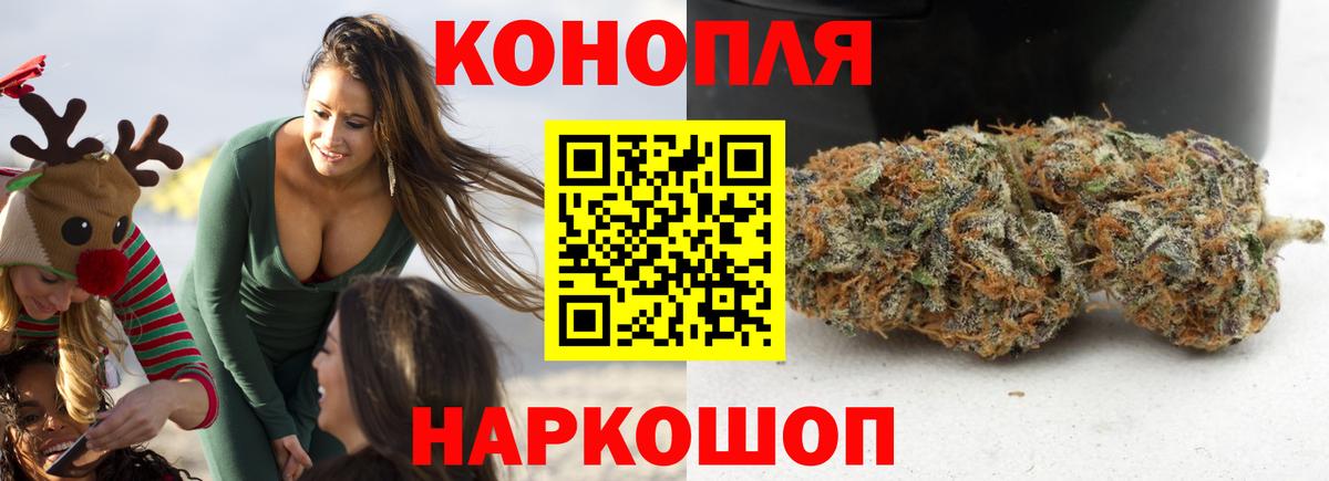 Канабис MAZAR  МАРИХУАНА семена  Шишки марихуана план  Карабулак  Конопля семена 